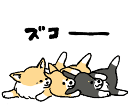 corgi-chan2 sticker #13509771