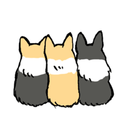 corgi-chan2 sticker #13509773