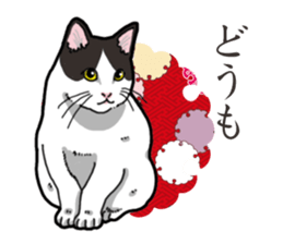 WA-Gokoro sticker #13514167