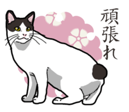 WA-Gokoro sticker #13514168