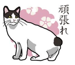 WA-Gokoro sticker #13514168