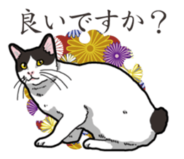 WA-Gokoro sticker #13514171