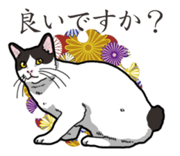 WA-Gokoro sticker #13514171