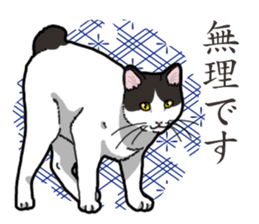 WA-Gokoro sticker #13514172