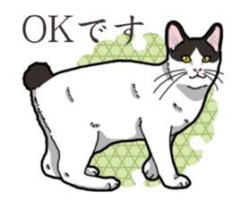 WA-Gokoro sticker #13514176