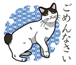 WA-Gokoro sticker #13514177