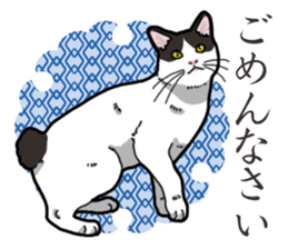 WA-Gokoro sticker #13514177