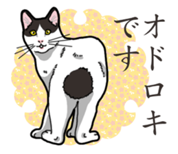 WA-Gokoro sticker #13514181