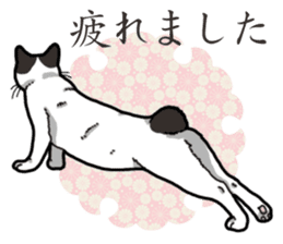 WA-Gokoro sticker #13514183