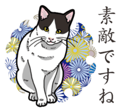 WA-Gokoro sticker #13514188