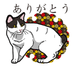 WA-Gokoro sticker #13514194