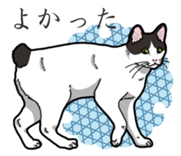 WA-Gokoro sticker #13514195