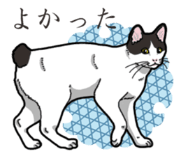 WA-Gokoro sticker #13514195