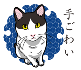 WA-Gokoro sticker #13514197