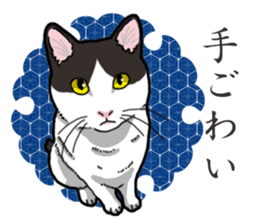 WA-Gokoro sticker #13514197