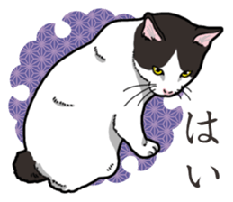 WA-Gokoro sticker #13514198