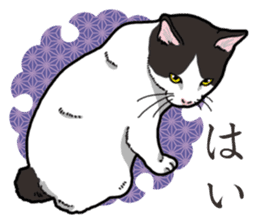 WA-Gokoro sticker #13514198