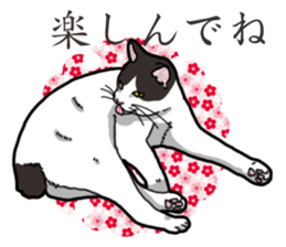 WA-Gokoro sticker #13514203
