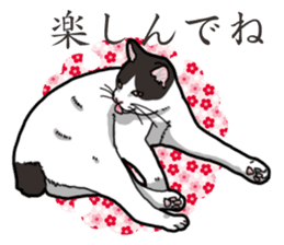 WA-Gokoro sticker #13514203