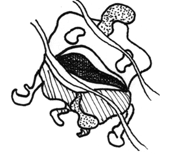 Gachamaru-kun sticker #13514296