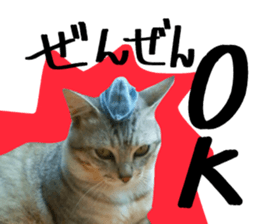 A little fat cat,Moon sticker #13514337