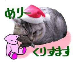 A little fat cat,Moon sticker #13514358