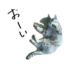 A little fat cat,Moon sticker #13514359