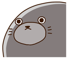 Rabbit and Seal Sticker 3 sticker #13514666