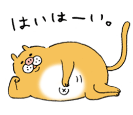 pig cat&me ver.5 sticker #13514673