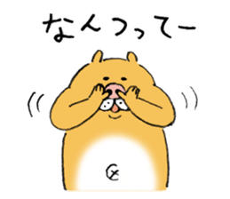 pig cat&me ver.5 sticker #13514676