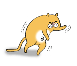 pig cat&me ver.5 sticker #13514688