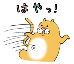 pig cat&me ver.5 sticker #13514690