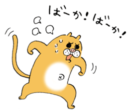 pig cat&me ver.5 sticker #13514694