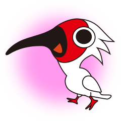 Japanese crested ibis Tokisa