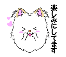 Pomeranian pearl of my house2 sticker #13515487