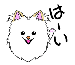 Pomeranian pearl of my house2 sticker #13515490