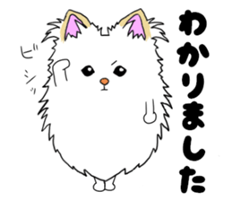 Pomeranian pearl of my house2 sticker #13515491