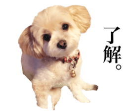 Nishikawas putty sticker #13516327