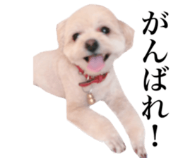 Nishikawas putty sticker #13516330