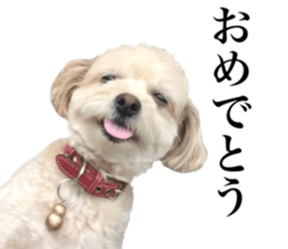 Nishikawas putty sticker #13516331