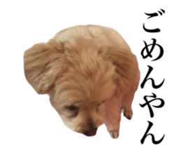 Nishikawas putty sticker #13516332