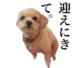 Nishikawas putty sticker #13516333