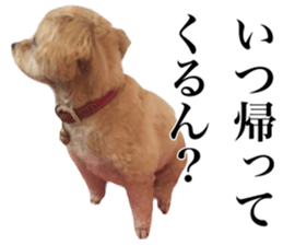 Nishikawas putty sticker #13516334