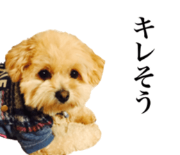 Nishikawas putty sticker #13516335