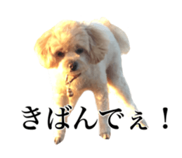 Nishikawas putty sticker #13516337