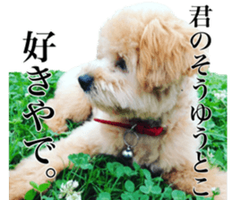 Nishikawas putty sticker #13516338