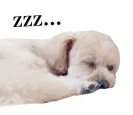 Nishikawas putty sticker #13516341