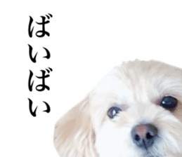 Nishikawas putty sticker #13516342