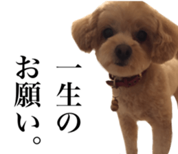 Nishikawas putty sticker #13516344