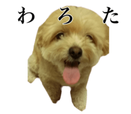 Nishikawas putty sticker #13516345